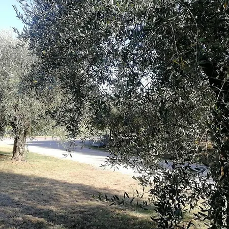 Apartamento Casa A'mare *